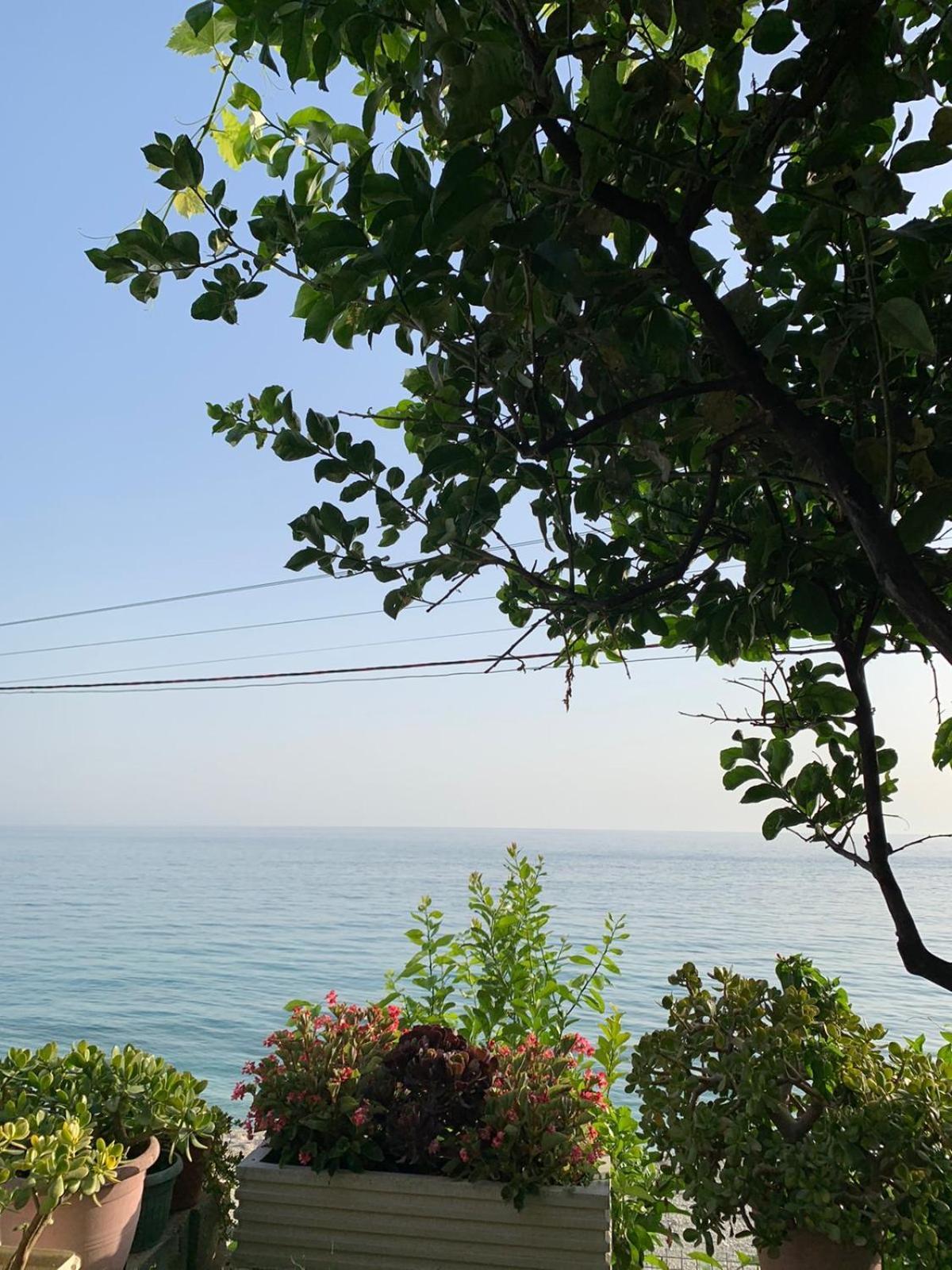 Sea La Vie Anesti Apartment Borsh Exterior photo