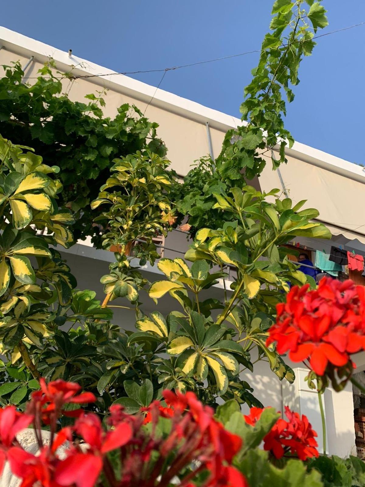 Sea La Vie Anesti Apartment Borsh Exterior photo