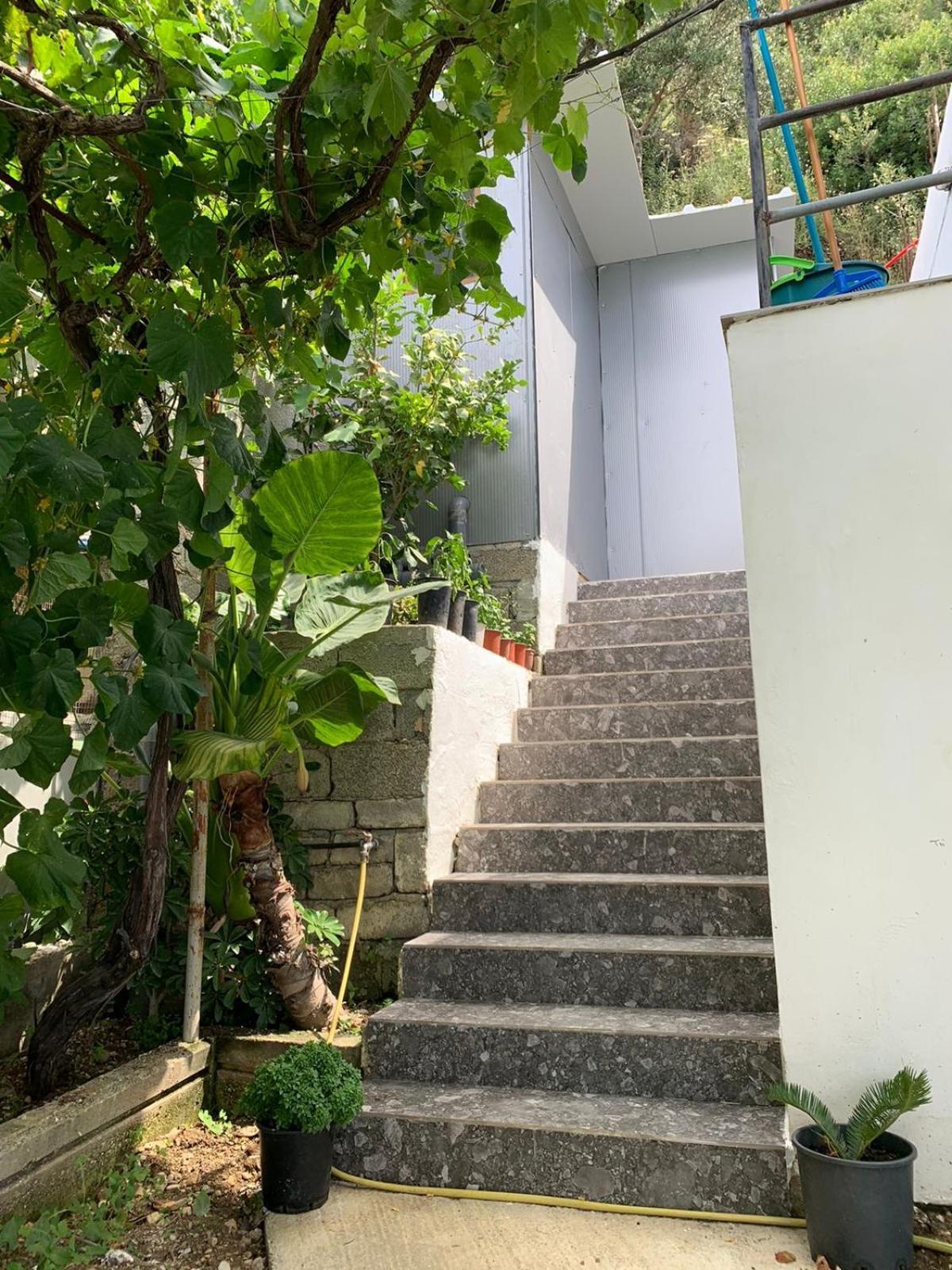 Sea La Vie Anesti Apartment Borsh Exterior photo